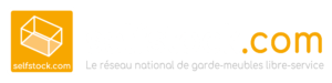 Logo selfstock.com